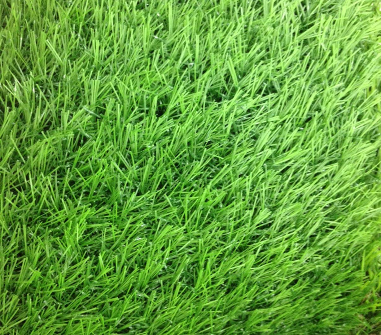 หญ้าเทียม อีซี่กราส เอสซีจี เซฟวิ่งกราส รุ่นสั่งตัด ความยาวเส้นหญ้า 2.5 ซม. สี ฟอเรส กรีน